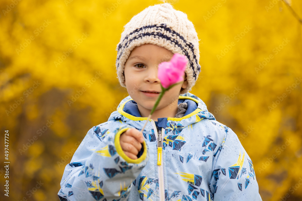 Beuatiful child, toddler boy, holding pink paper flower, handmade for mom Beuatiful child, toddler boy, holding pink paper flower, handmade for mom