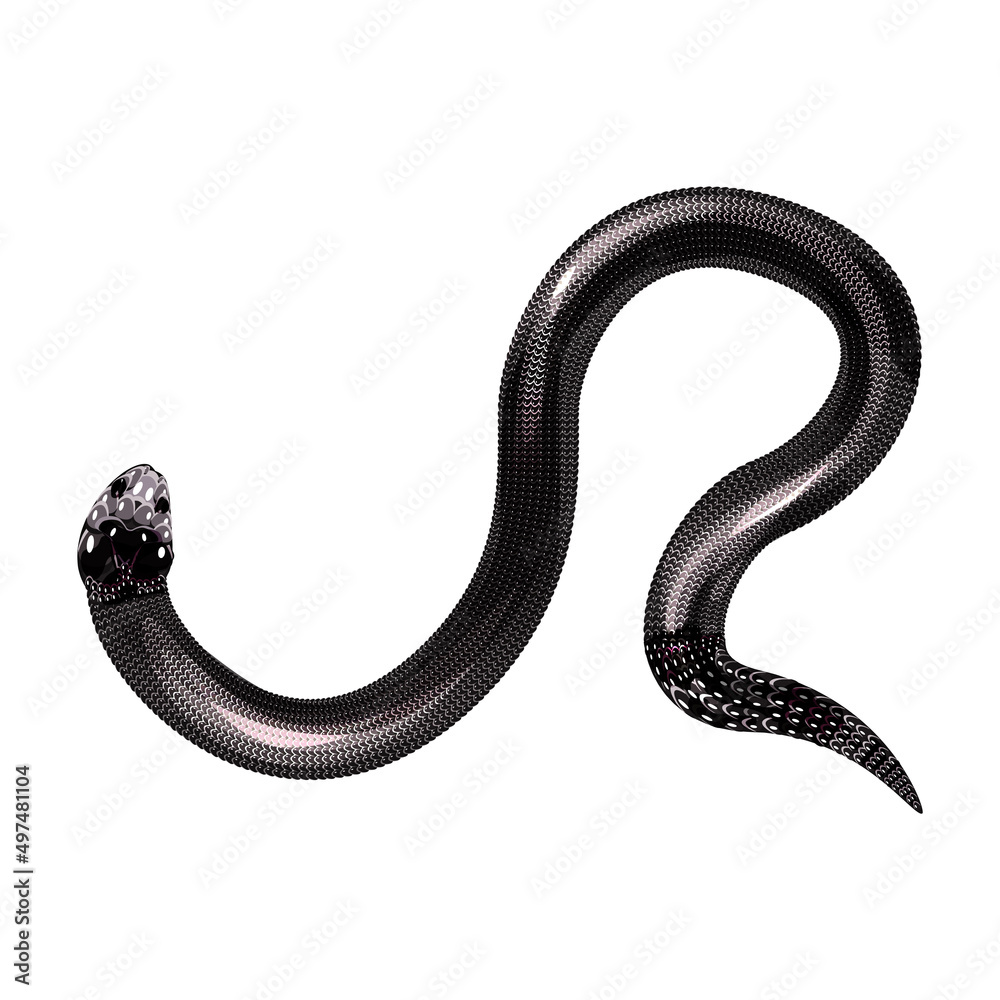 Obraz premium snake, black and white silhouette on a white background