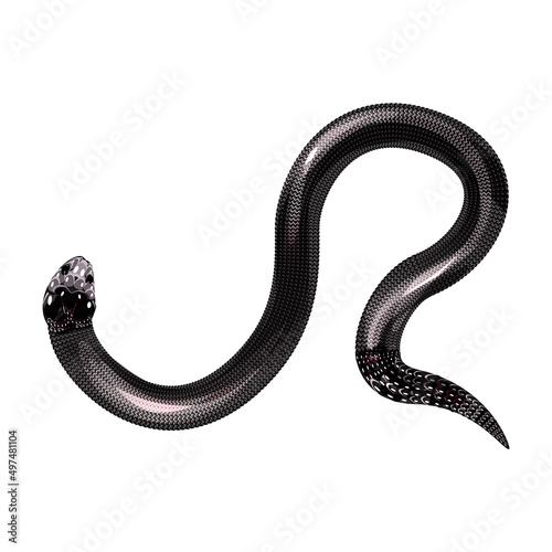 snake, black and white silhouette on a white background