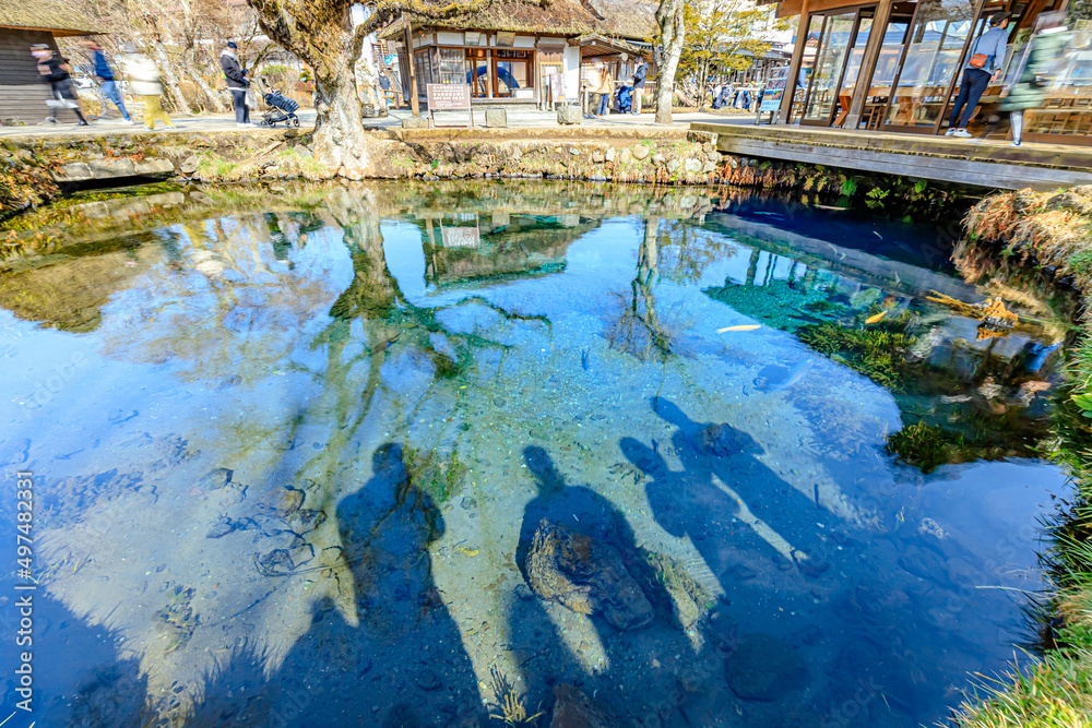 初春の忍野八海　湧池　山梨県忍野村　Oshino Hakkai in early spring. Wakuike pond. Yamanashi-ken Osino village.