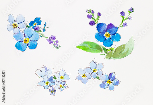 A set of forget-me-nots. Watercolor flowers. A set for designers of wedding and gift products. Watercolor. Spring composition  wedding bouquet.