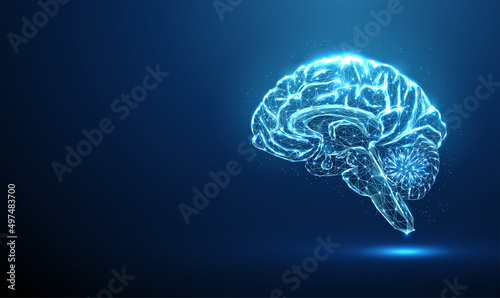 Scheme of parts of humain brain. Brain anatomy. photo