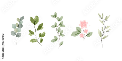 A set of watercolour elements - wildflowers, herbs, leaves. a collection of garden and wild, forest herbs, flowers, branches. Illustration highlighted on white background. Botanical