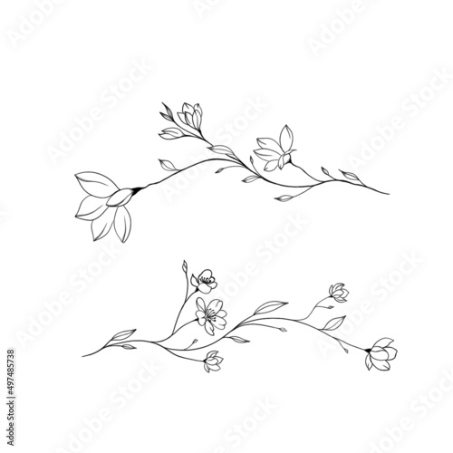 minimalism tattoo. beautiful detailed sketch of plant. The idea of ​​a twig tattoo with leaves. detailed sketch of a twig with leaves photo