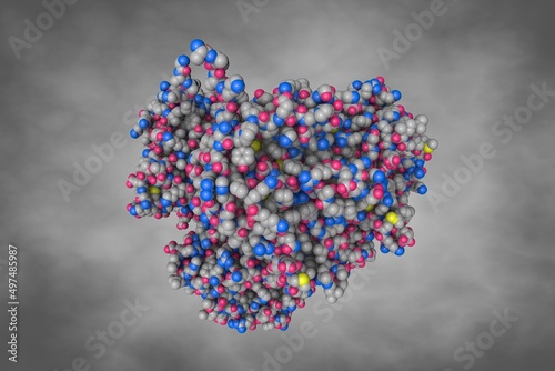 Human sorbitol dehydrogenase  apo . Space-filling molecular model on grey background. Rendering based on protein data bank entry 1pl7. Scientific background. 3d illustration