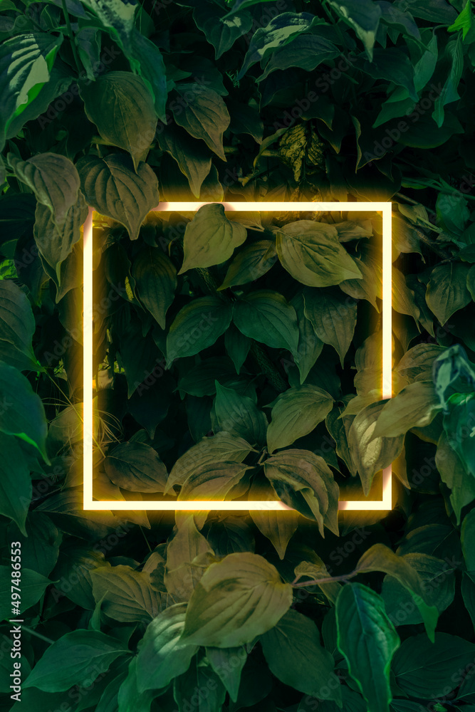 Creative stock layout with neon glowing golden frame on green leaves background. Warm, ambient light mood. Copy space for party invitation, poster, banner, sale advertising. Floral concept template - obrazy, fototapety, plakaty 