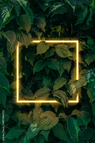 Fototapeta Naklejka Na Ścianę i Meble -  Creative stock layout with neon glowing golden frame on green leaves background. Warm, ambient light mood. Copy space for party invitation, poster, banner, sale advertising. Floral concept template