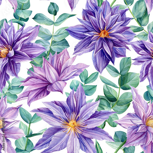 Seamless patterns. Floral background. Clematis flowers and eucalyptus. Watercolor botanical illustration