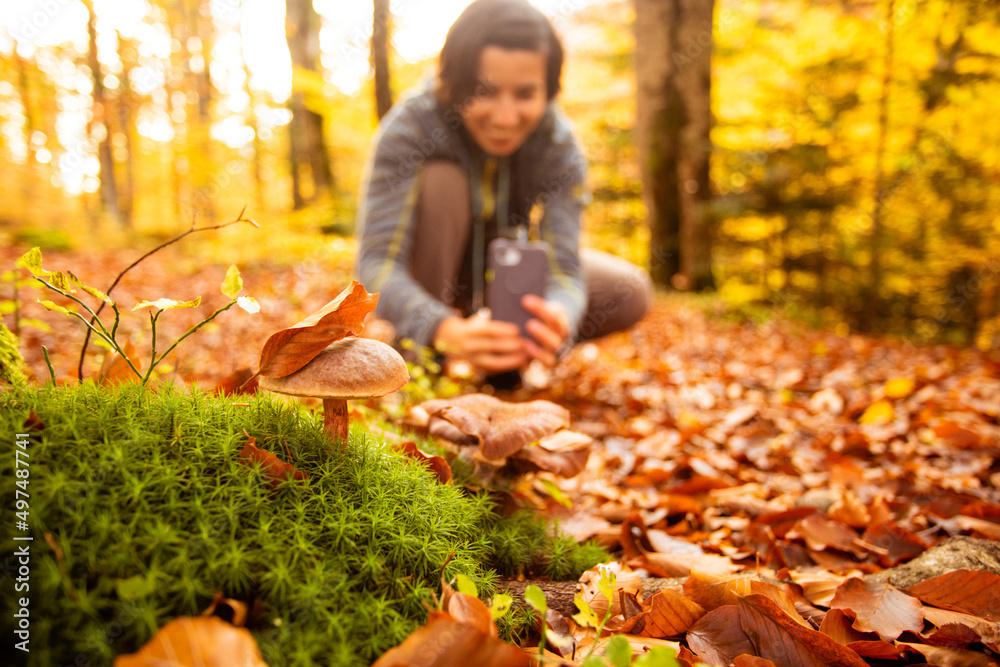 Woman in the forest takes pictures of a mushroom usinag smartphone Woman in the forest takes pictures of a mushroom usinag smartphone