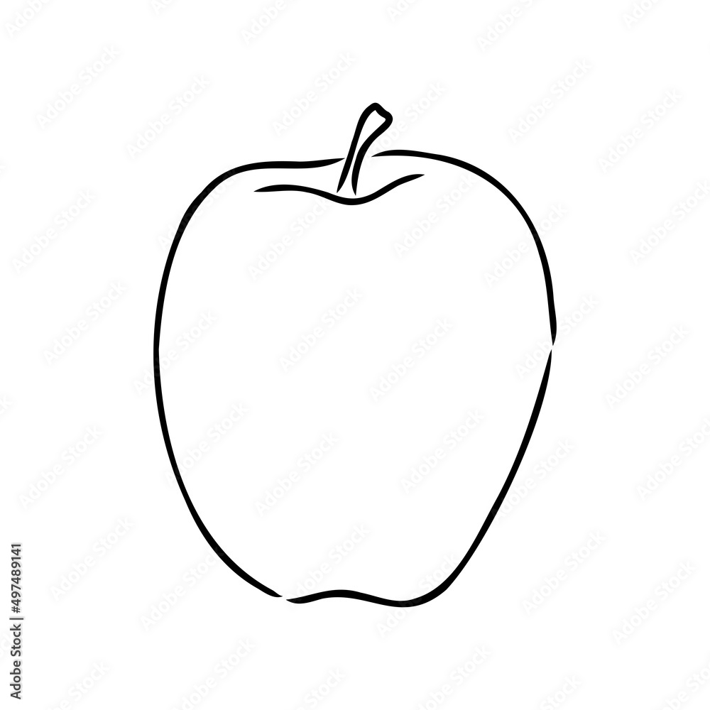 Apple fruit vector illustration. Engraved organic food hand drawn sketch engraving illustration. Black white apple isolated on white background. Apple fruit vector illustration. Engraved organic food hand drawn sketch engraving illustration. Black white apple isolated on white background.