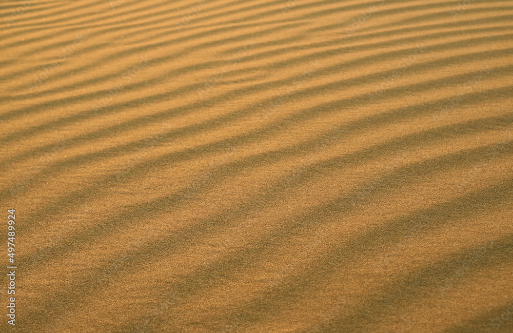 Gorgeous sand ripple pattern of Huacachina desert in Ica province of Peru, South America Gorgeous sand ripple pattern of Huacachina desert in Ica province of Peru, South America