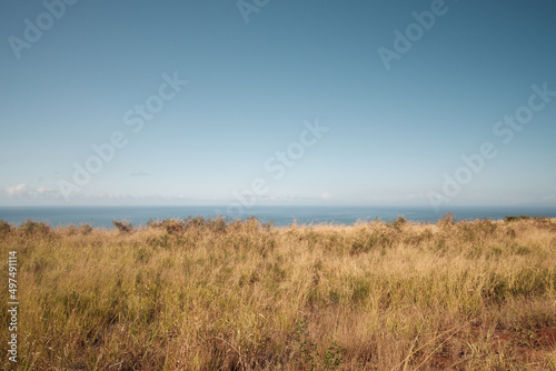 Grass, sea and sky
