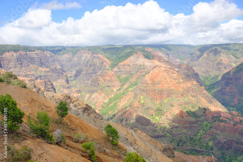 Waimea canyon in Kauai, Hawaii