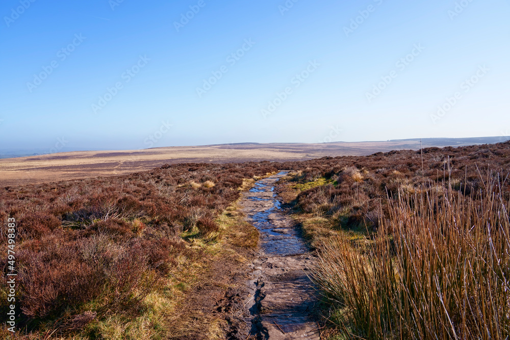 Waterlogged path across gently sloping Derbyshire moorland.