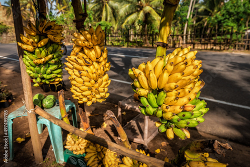 A bunch of bananas at a local tropical food market