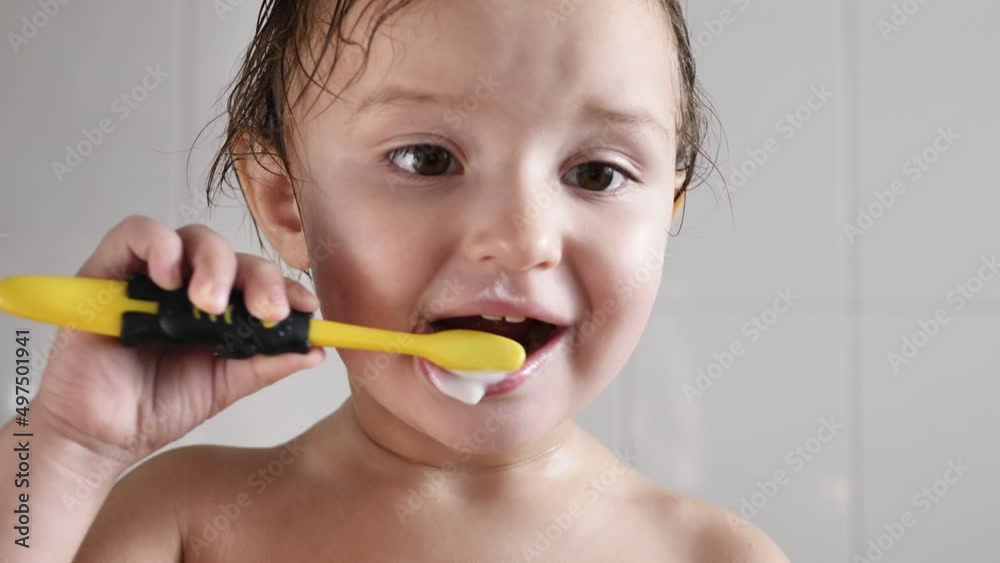 Dental hygiene. A happy little girl is brushing her teeth Dental hygiene. A happy little girl is brushing her teeth