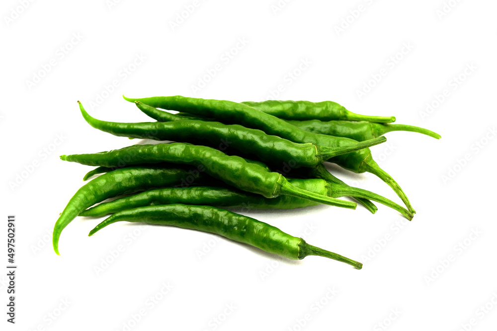 白背景の青唐辛子 コピースペースあり Green chili peppers (chile verde) on white background with copy space 白背景の青唐辛子 コピースペースあり Green chili peppers (chile verde) on white background with copy space