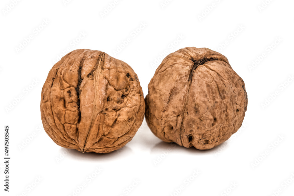 two ripe walnut on white two ripe walnut on white