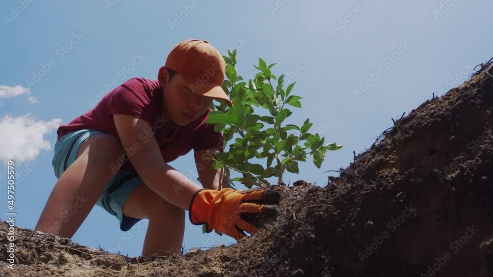  child digs a hole to plant a tree