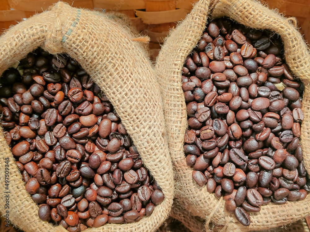 Freshly roasted Arabica coffee beans in a cloth sack ready to use.