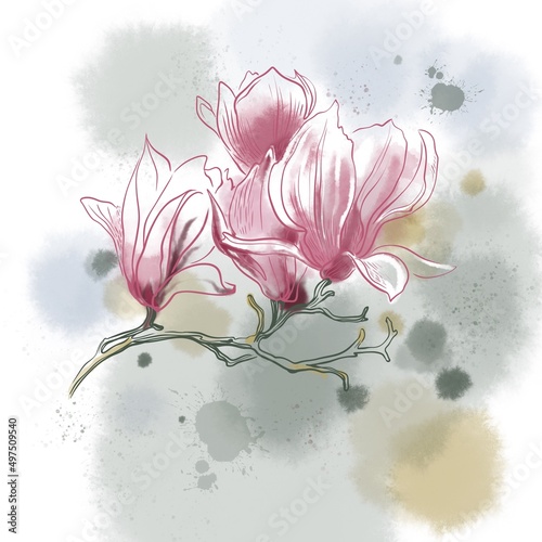 Fototapeta Naklejka Na Ścianę i Meble -  magnolia branch on watercolor background