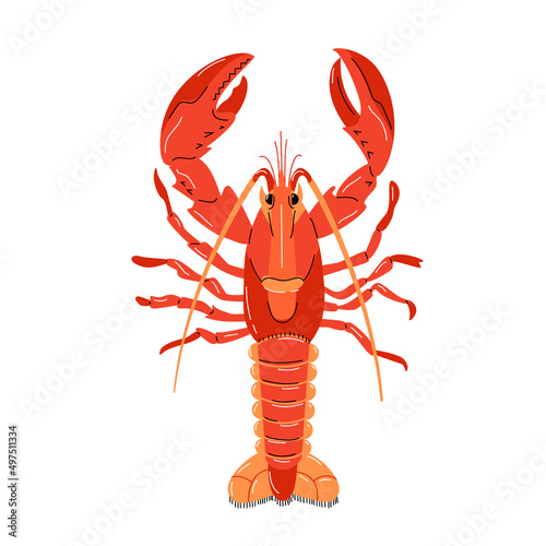 Seafood illustration in cartoon style. Red lobster on a white background