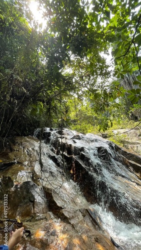 waterfall in the forest