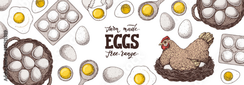 Chicken eggs. Hen sitting in the nest. Hand drawn illustration. Farm eggs design template. Vector illustration. Healthy food. Package design elements.