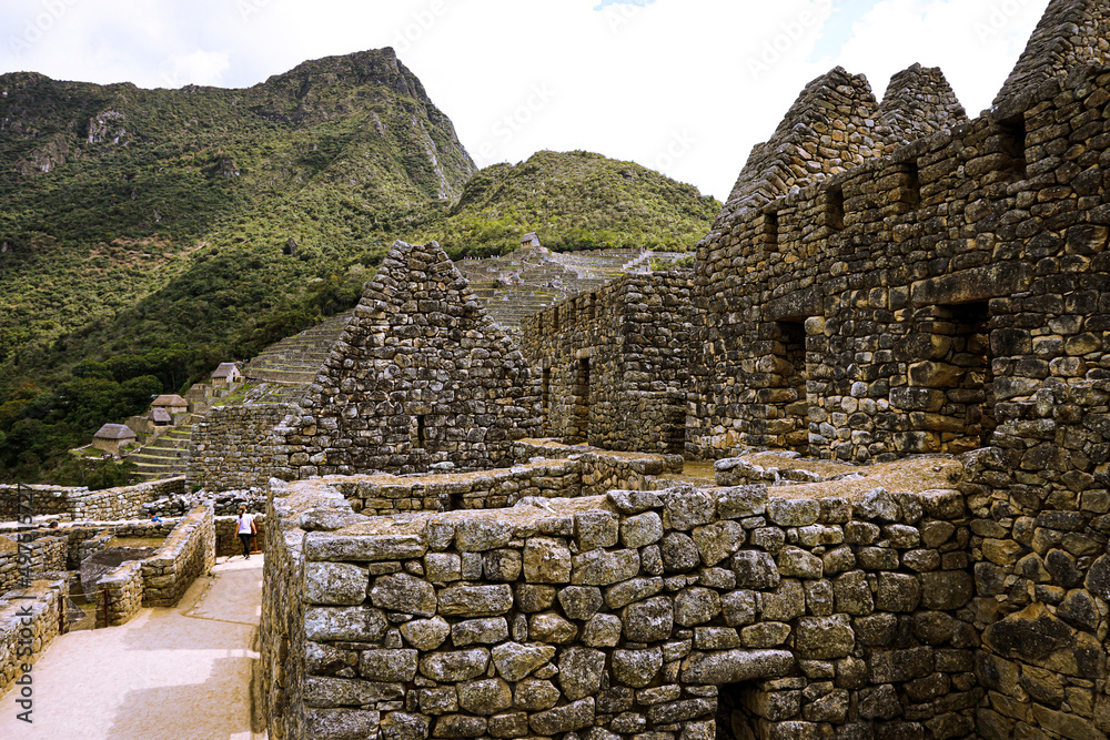 Machu Picchu Landscape