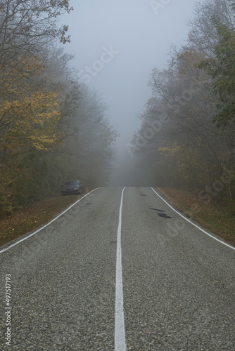 A country road with a straight, solid white line runs down through an autumn foggy forest. A black car stands on the side of the road. Traces of patching can be seen on the asphalt