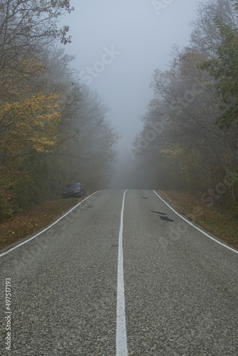 A country road with a straight, solid white line runs down through an autumn foggy forest. A black car stands on the side of the road. Traces of patching can be seen on the asphalt © VeNN