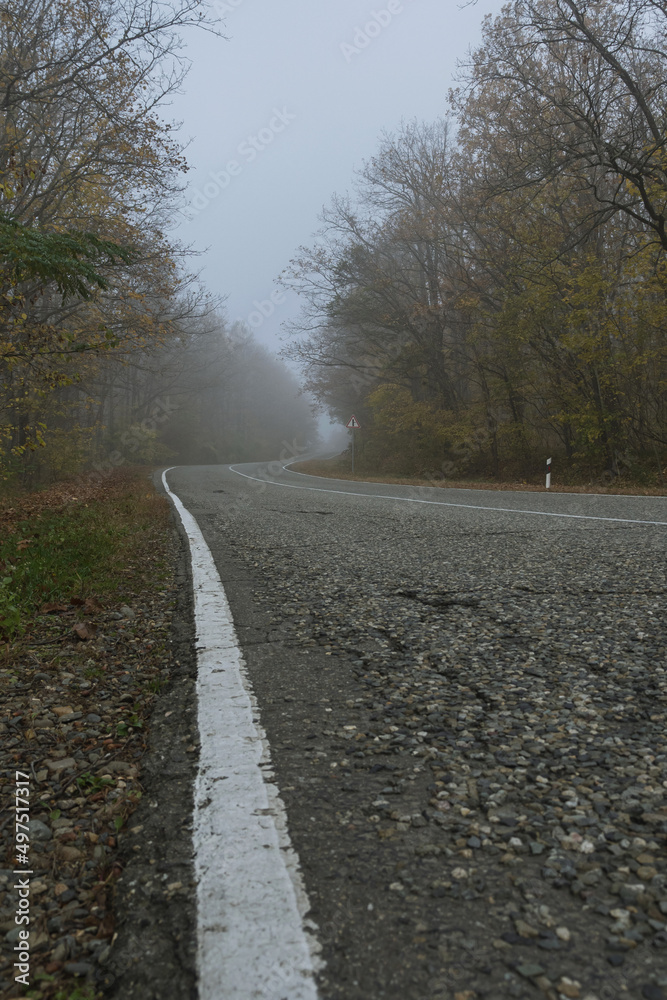 Bottom view of a country road looping through the fog in an autumn forest. Asphalt road with white markings and forest on a foggy morning. Mysterious landscape.