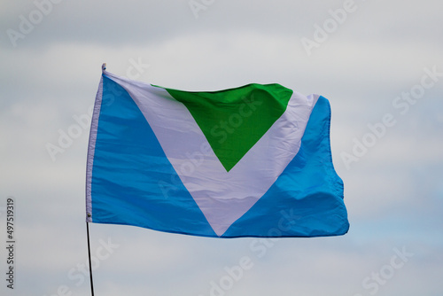Photography Vegan flag fluttering in the wind during a climate march in copenhagen Denmark