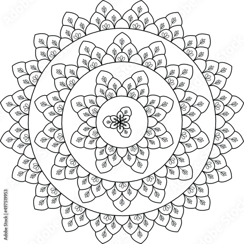 mandala design graphic vector design new template photo