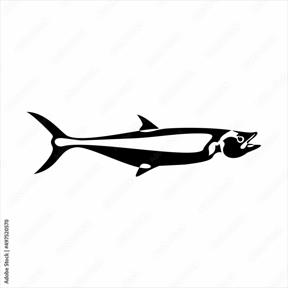 Obraz premium fish logo design vector background