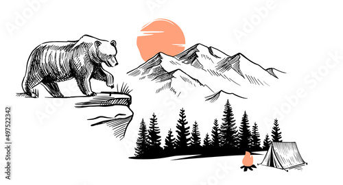 Wild natural landscape with bear.