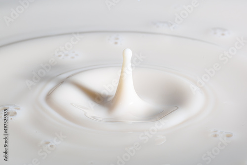 Drop of milk Milk or droplets of white liquid create ripples Drop created splash with circle ripple
