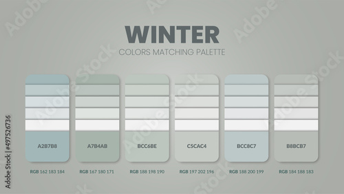 Winter color palettes or color schemes are trends combinations and palette guides this year; table color shades in RGB or HEX. A color swatch for a winter mood tone fashion, home, or interior design