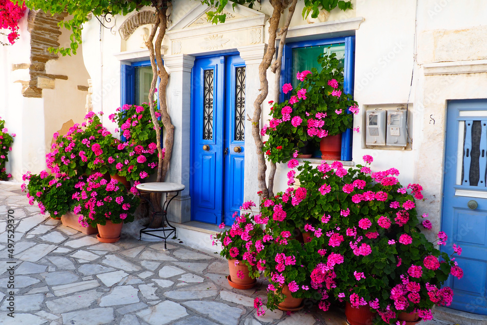 Fototapeta premium One of the charms of Pyrgos, a famous village of marble craftsmen in Tinos, in the Cyclades, in the heart of the Aegean Sea, are the narrow cobbled streets with white houses and flowers