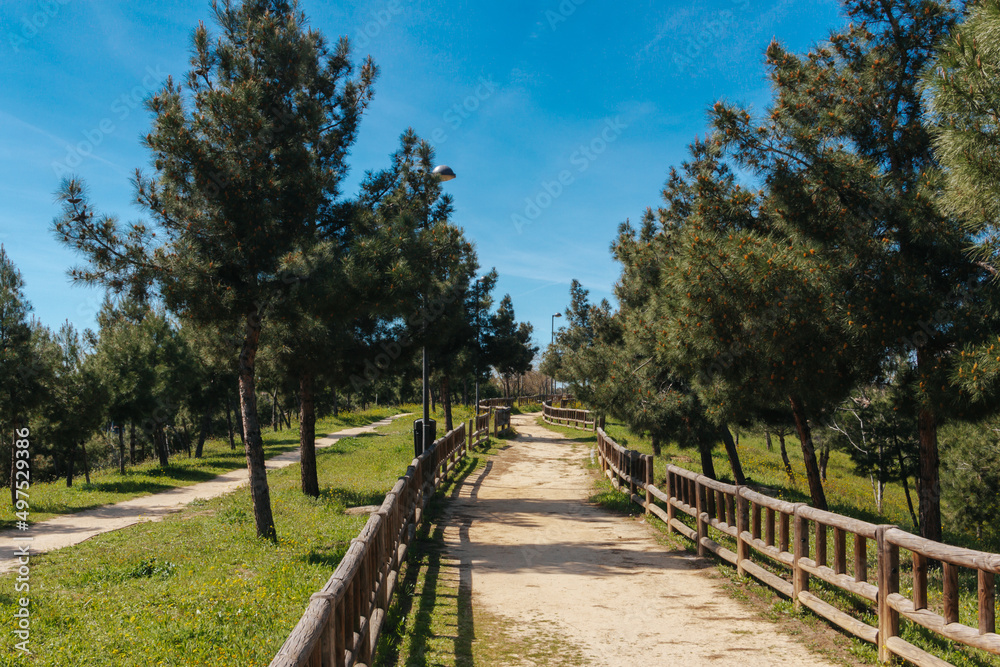 Urban park with dirt road, wooden fences. Copy space. Selective focus.