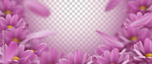 Canvastavla 3d background with realistic pink chrysanthemum flowers and falling petals
