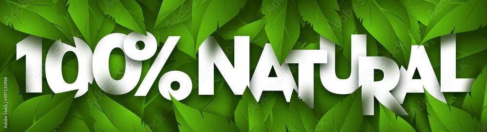 Natural concept banner with lush green foliage. Vector Illustration