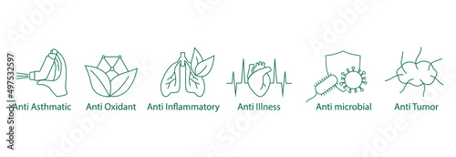 anti-asthmatic, antioxidant, anti-inflammatory, anti illness, anti-microbial, anti-tumor photo