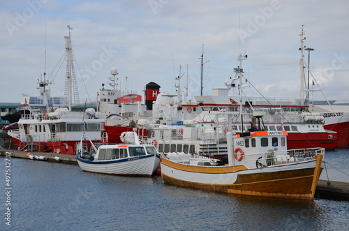 fishing boats in the harbor