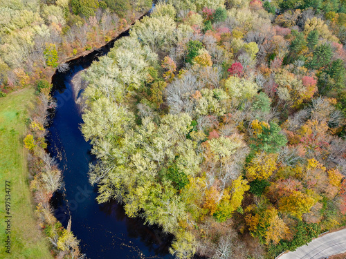 Top down aerial wild forest with colored trees and a small river flowing through the forest. Autumn season 