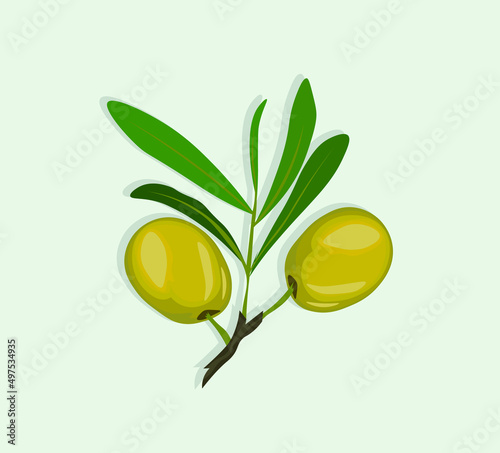 Olive branch with green olives on a white background. eps10