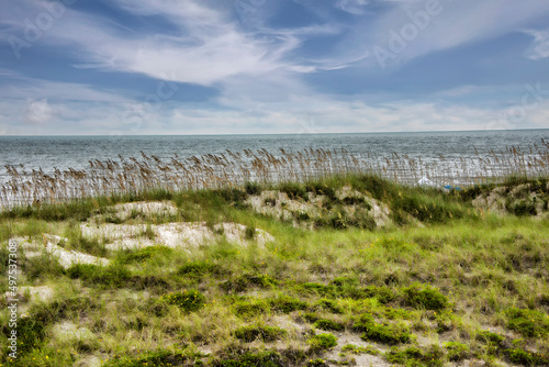 Beach Dunes and Natural Vegetation in Amelia Island