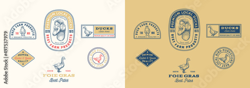 Duck Poultry Farm Retro Framed Badges and Logo Templates Collection. Hand Drawn Goose Face and Birds Illustrations with Retro Typography. Vintage Engraving Style Emblems Set Isolated