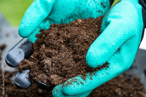 Hand holding peat moss organic matter improve soil for agriculture organic plant growing, ecology concept.