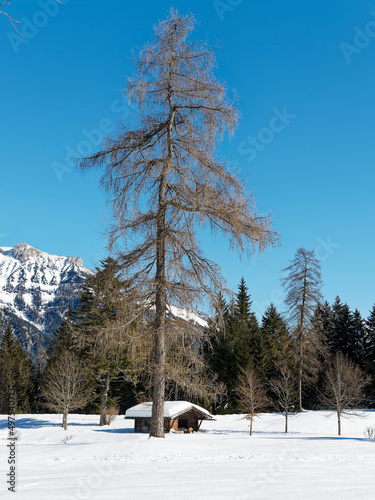 Österreichische Berglandschaft im Winter. Schneelandschaften rund um Achensee und Pertisau im Tirol. Herrliche Landschaften von Tristenautal in Naturpark Karwendel photo